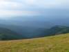 photo258_small.jpg