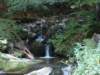 photo264_small.jpg