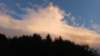 photo267_small.jpg