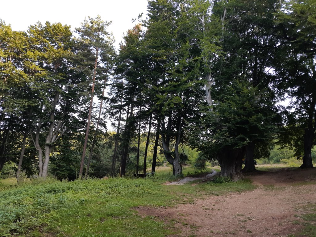 photo3.jpg