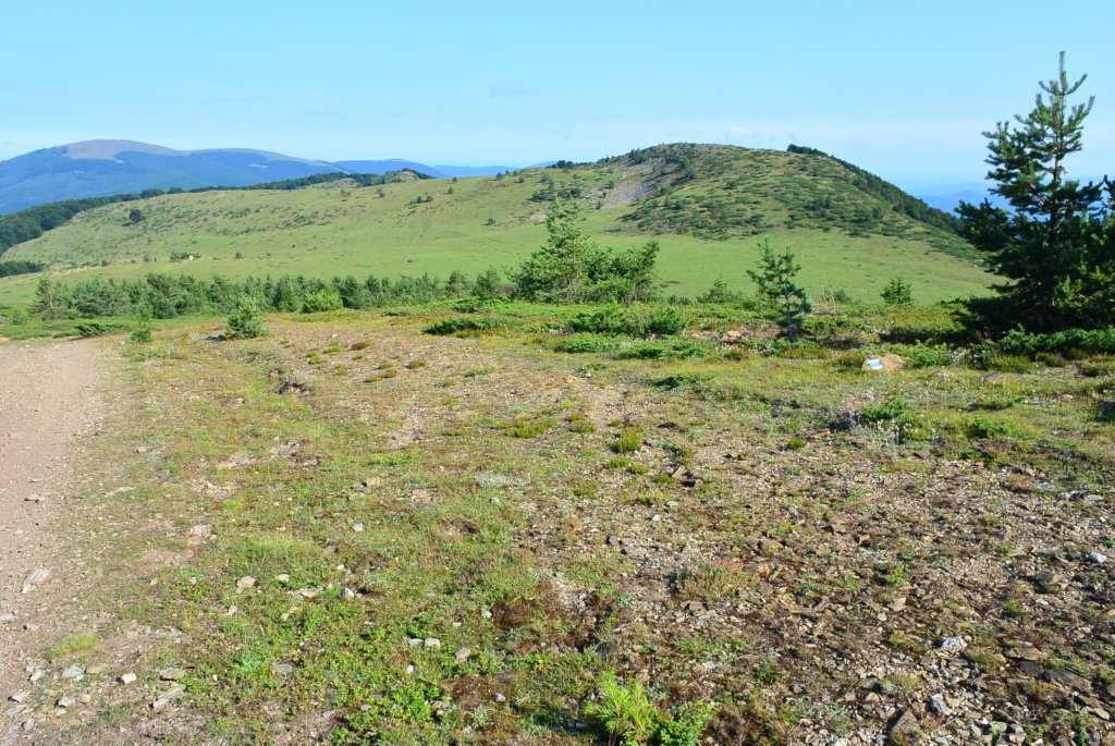 photo5.jpg