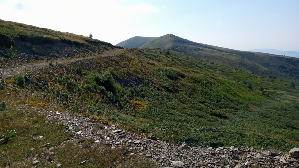 photo57.jpg