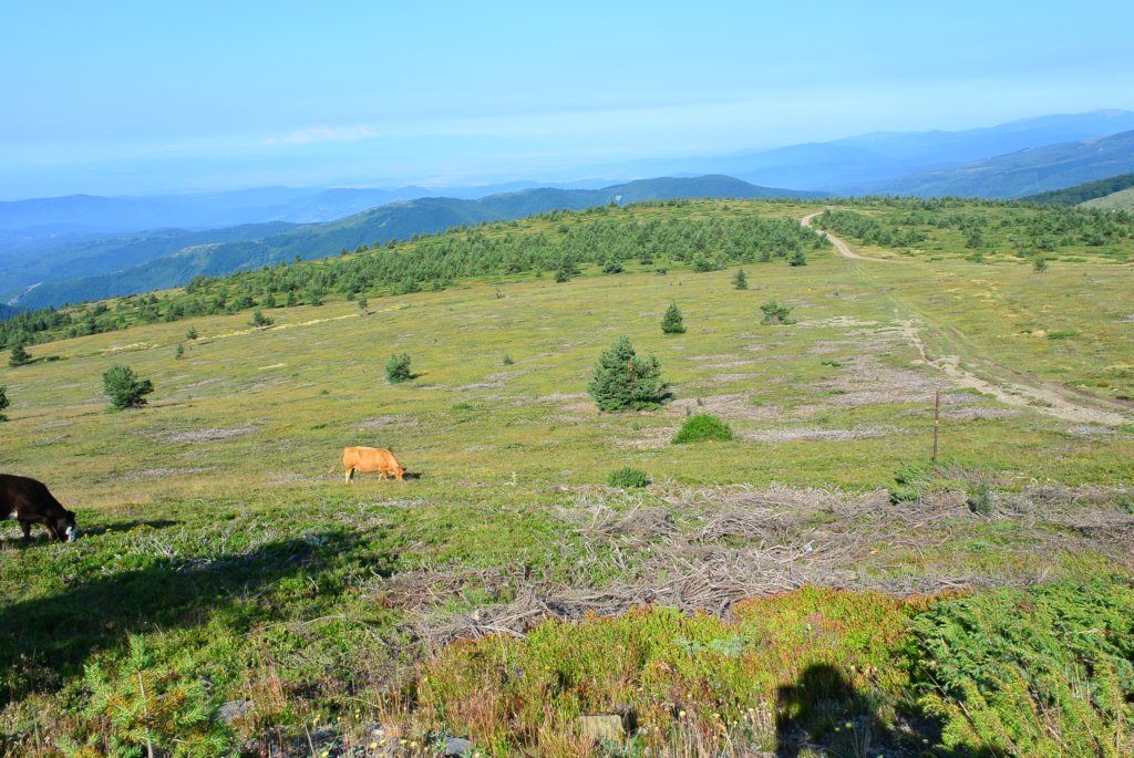 photo8.jpg