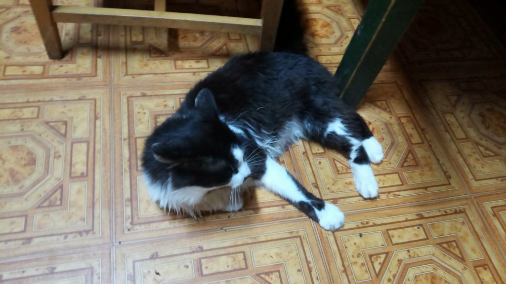 photo2.jpg