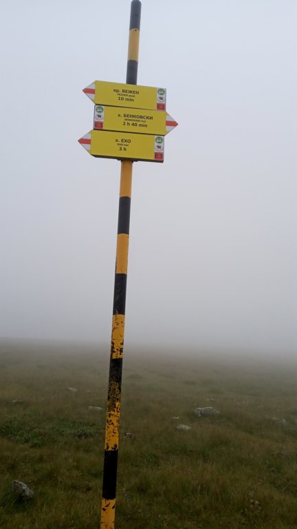 photo24.jpg
