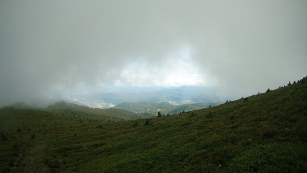 photo43.jpg