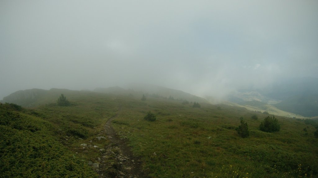 photo59.jpg