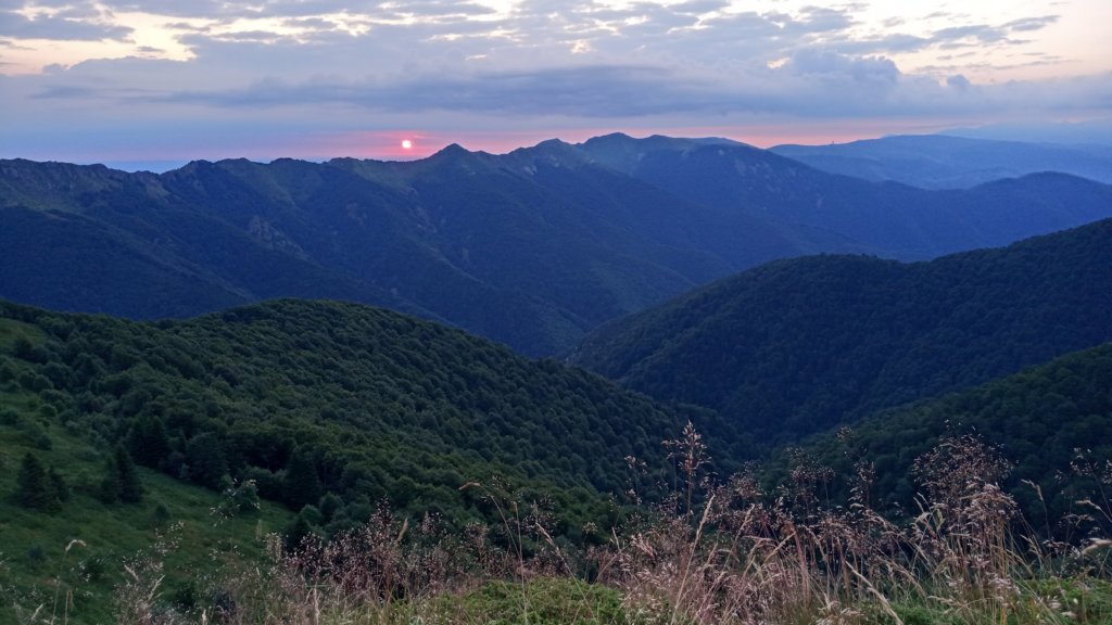 photo14.jpg