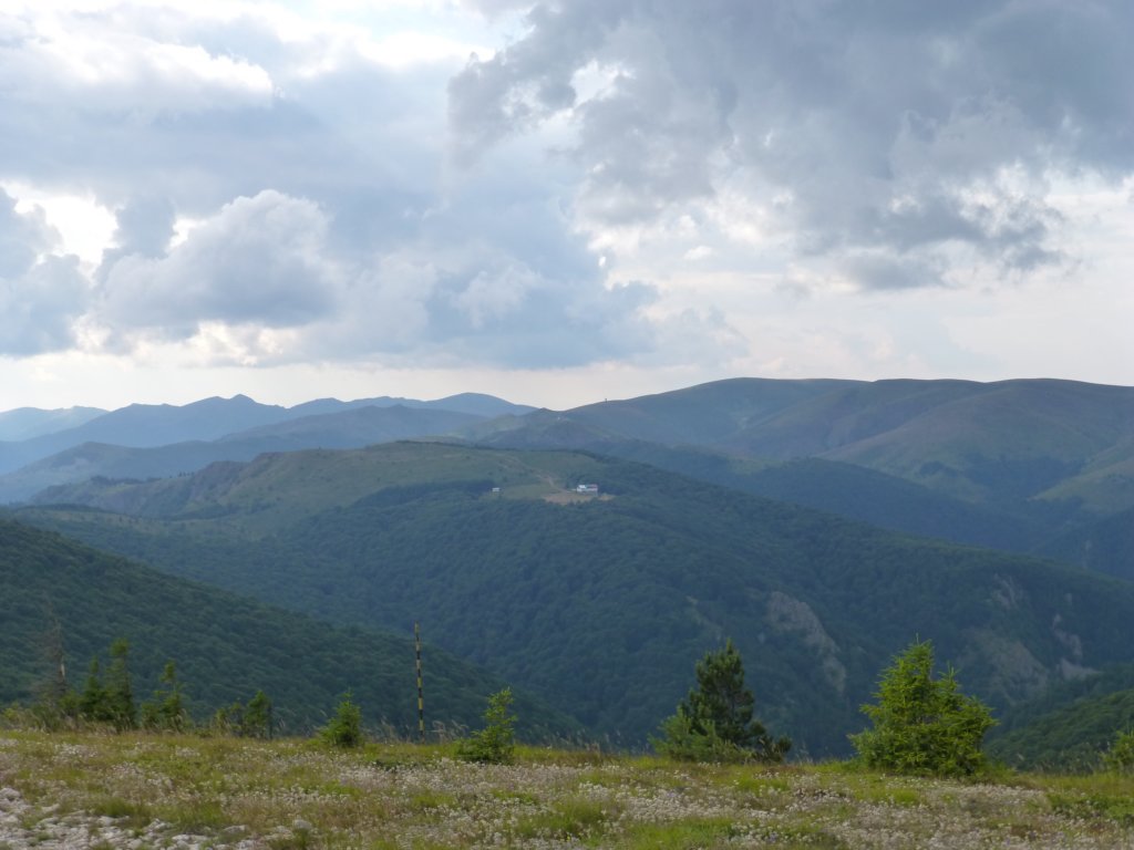 photo201.jpg