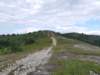 photo207_small.jpg