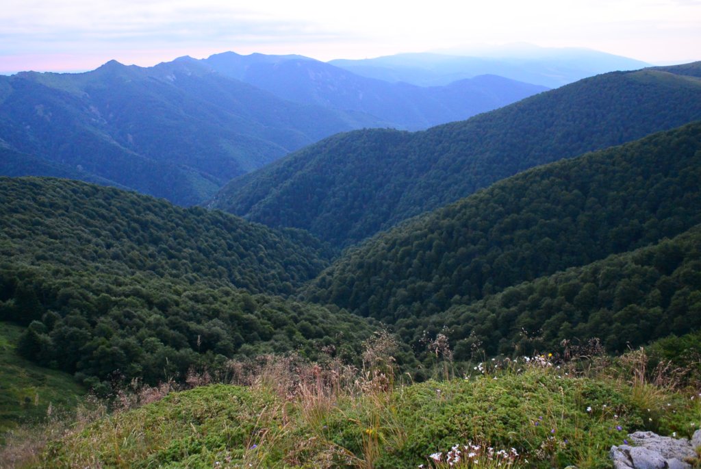photo3.jpg