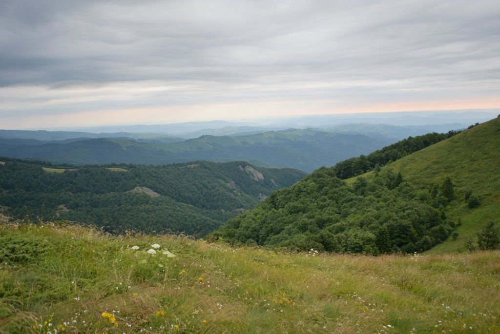 photo45.jpg