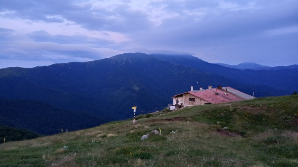 photo7.jpg