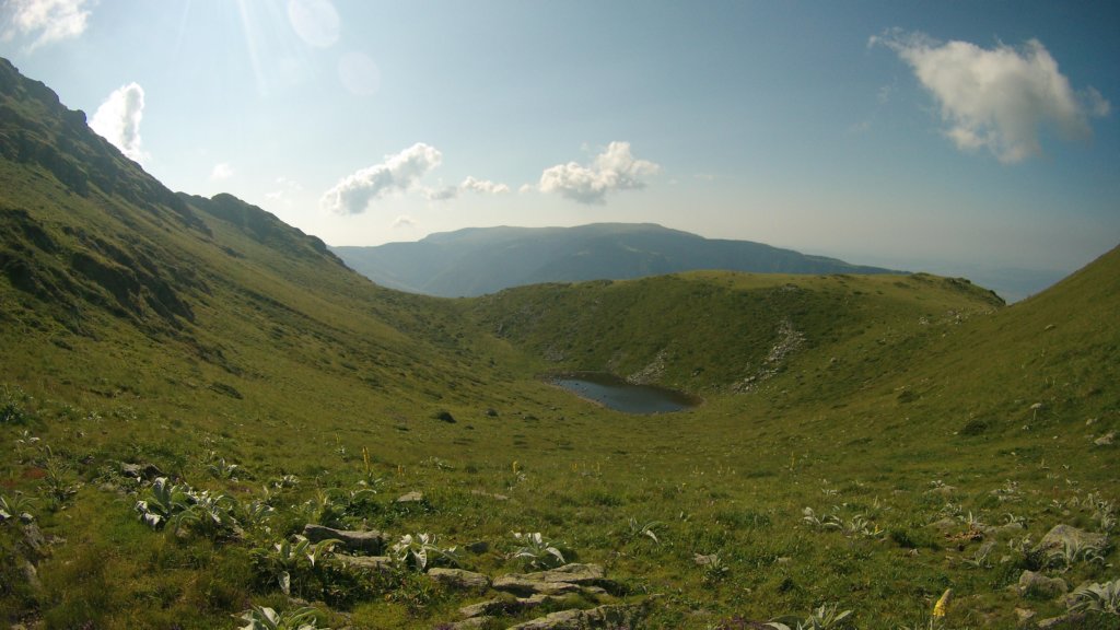 photo116.jpg