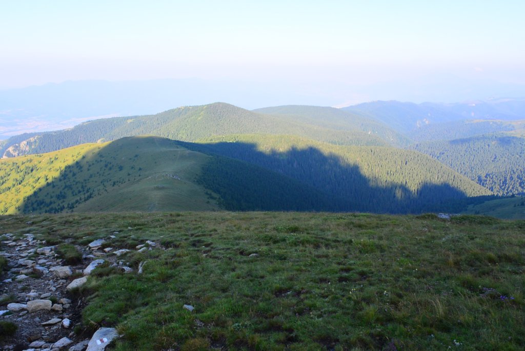 photo14.jpg