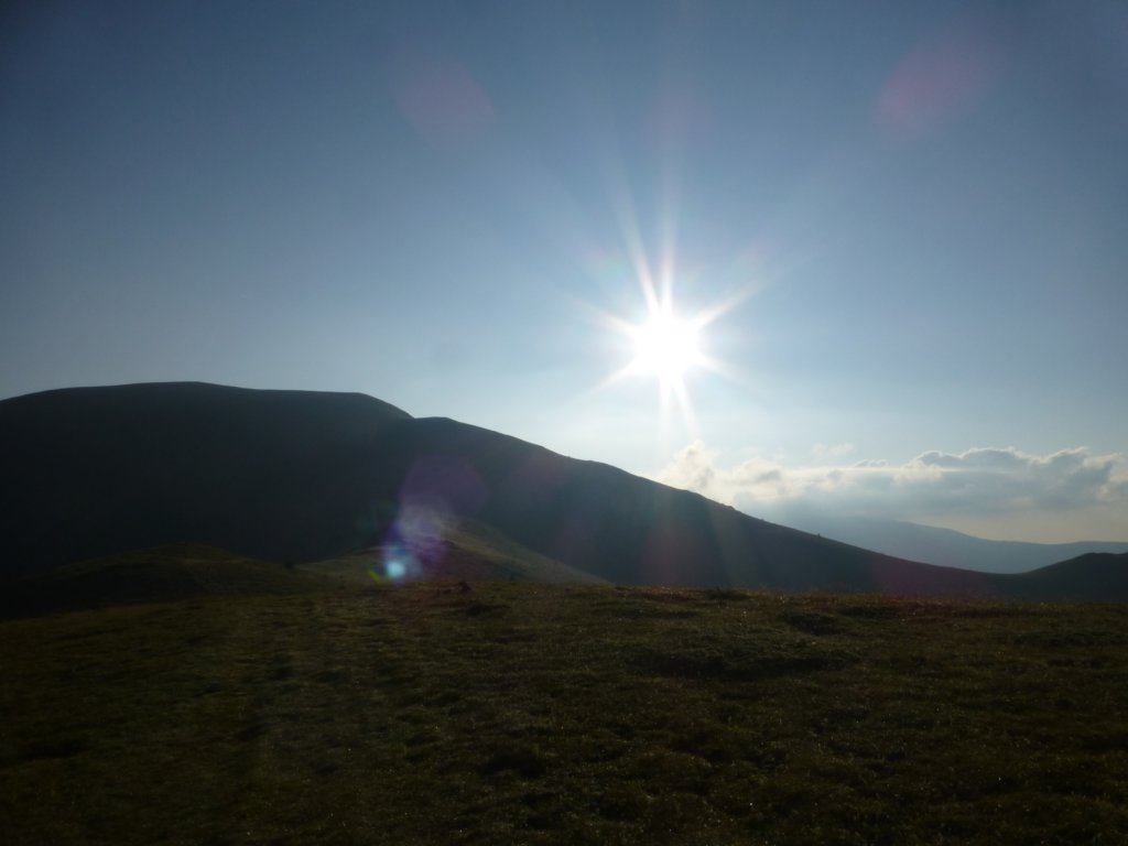 photo16.jpg