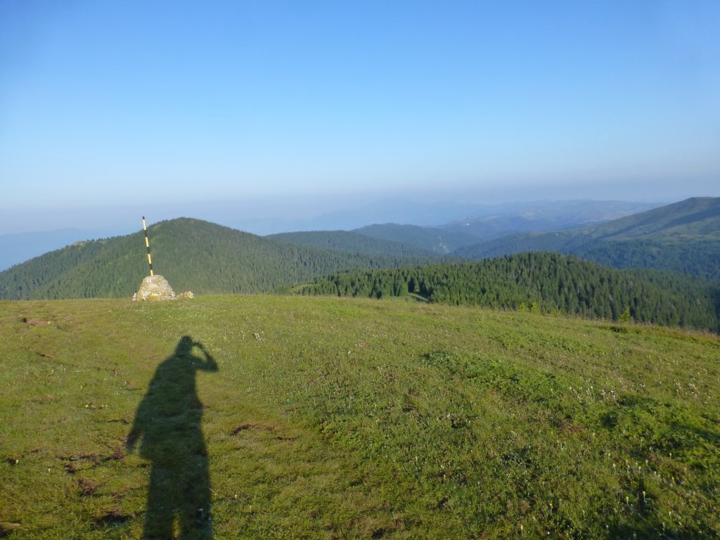 photo17.jpg
