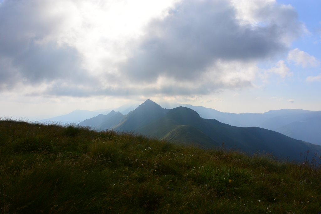 photo45.jpg