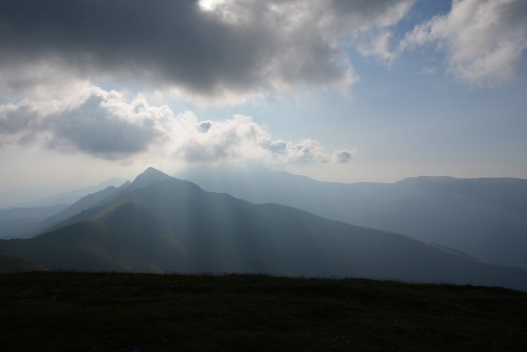 photo7.jpg