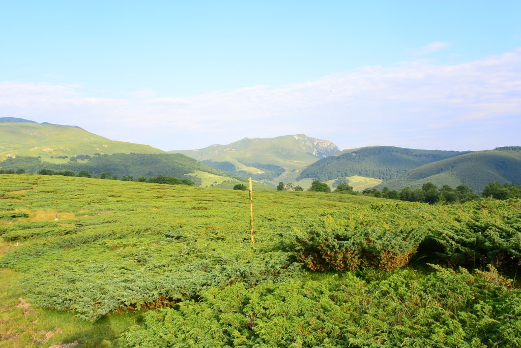 photo30.jpg