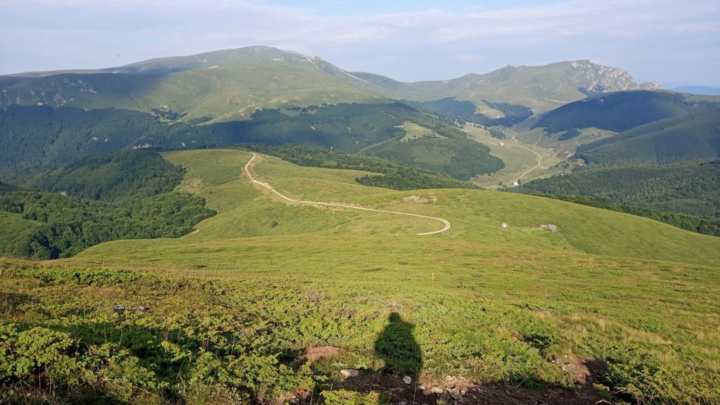 photo35.jpg