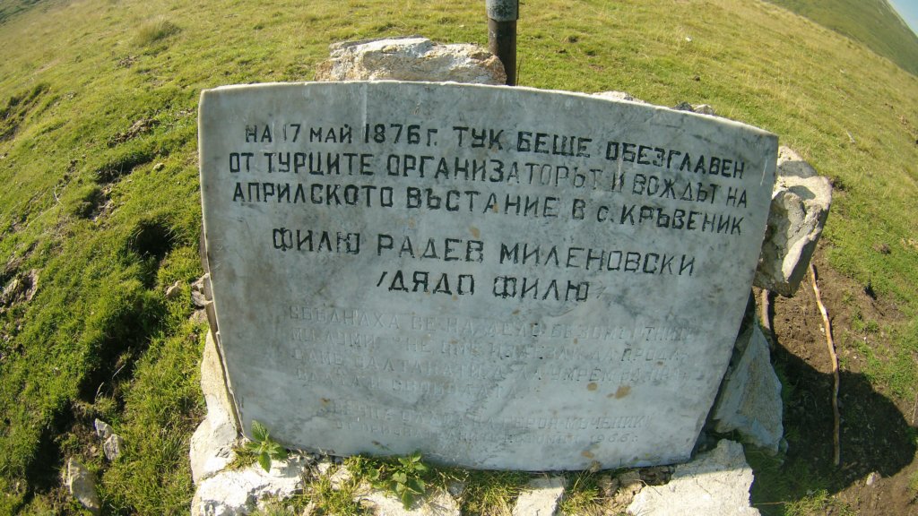photo46.jpg