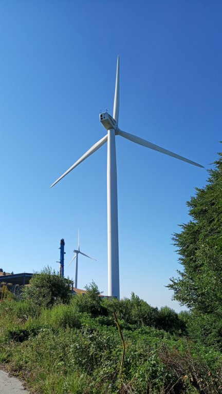 photo14.jpg