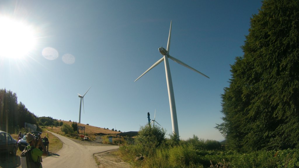 photo17.jpg