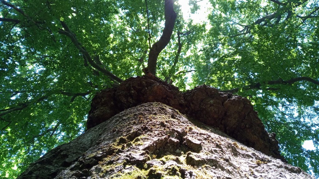photo72.jpg