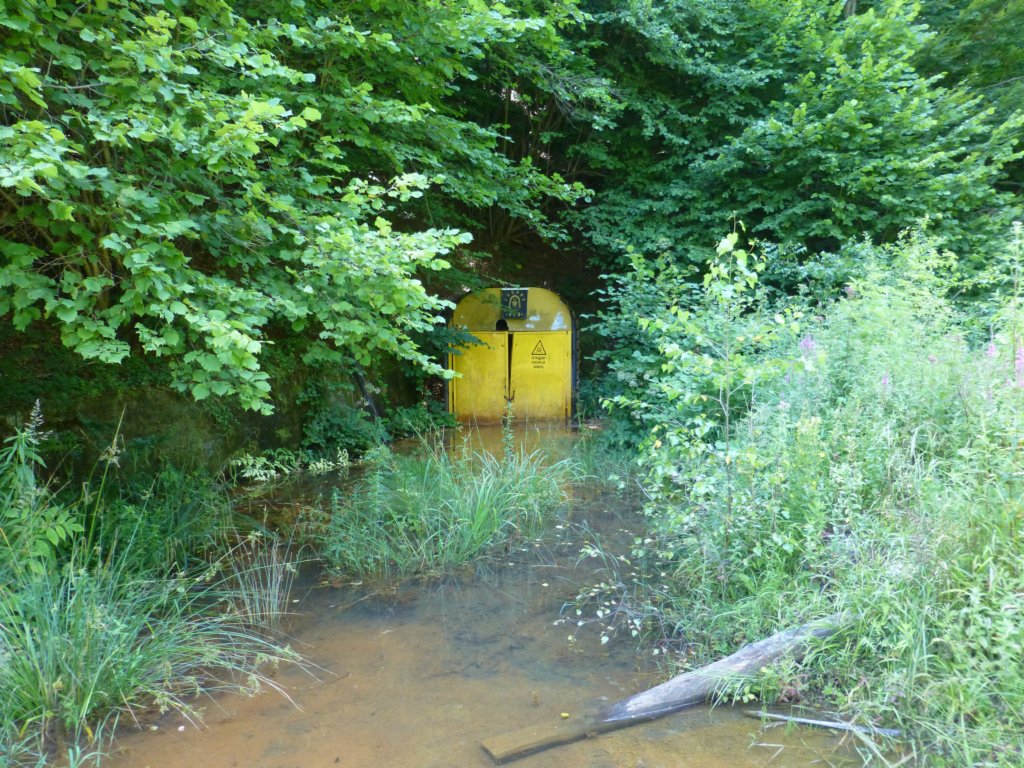 photo77.jpg