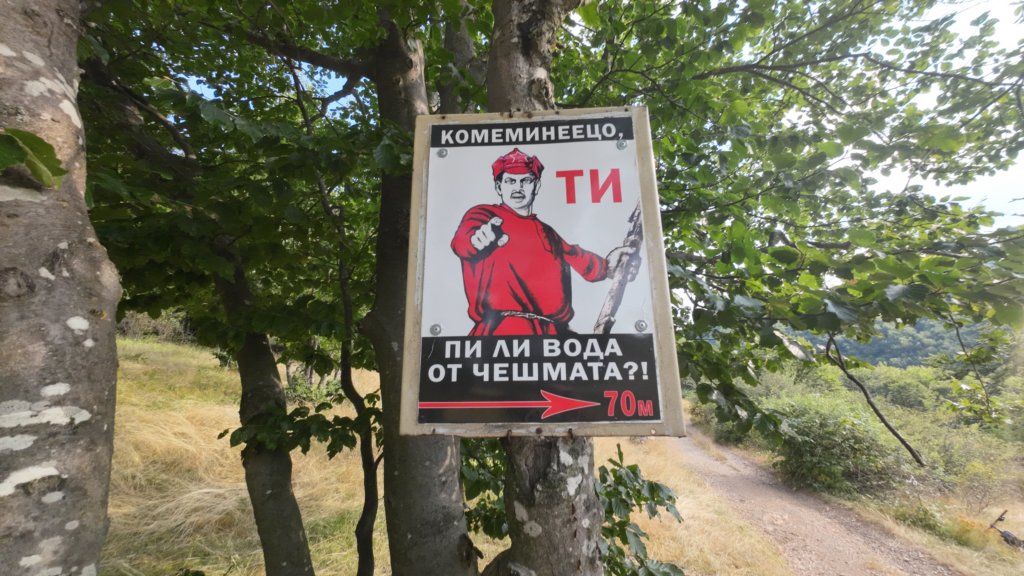 photo17.jpg