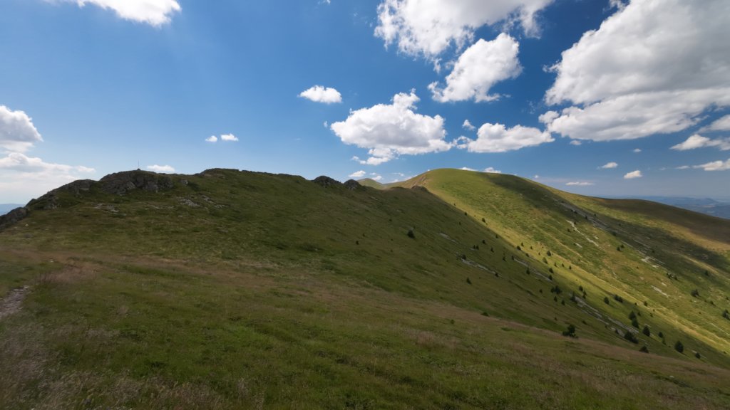 photo24.jpg