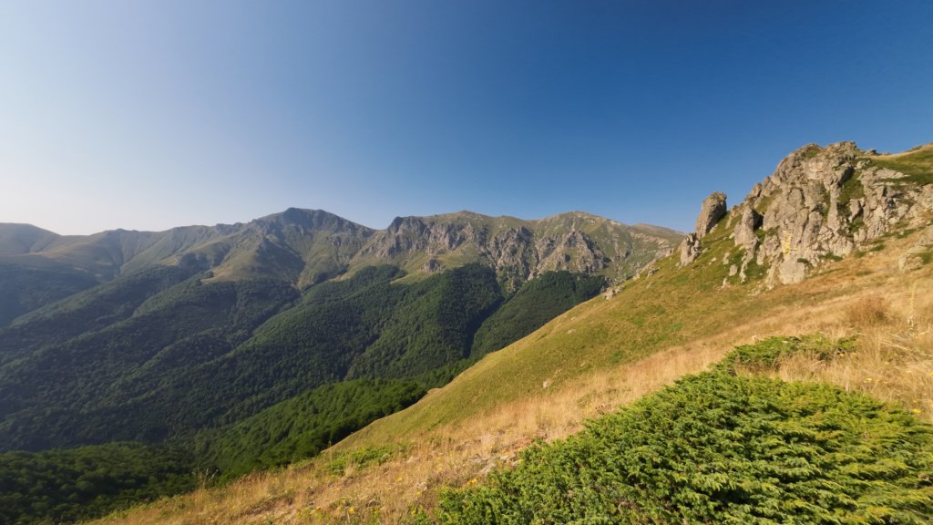 photo5.jpg