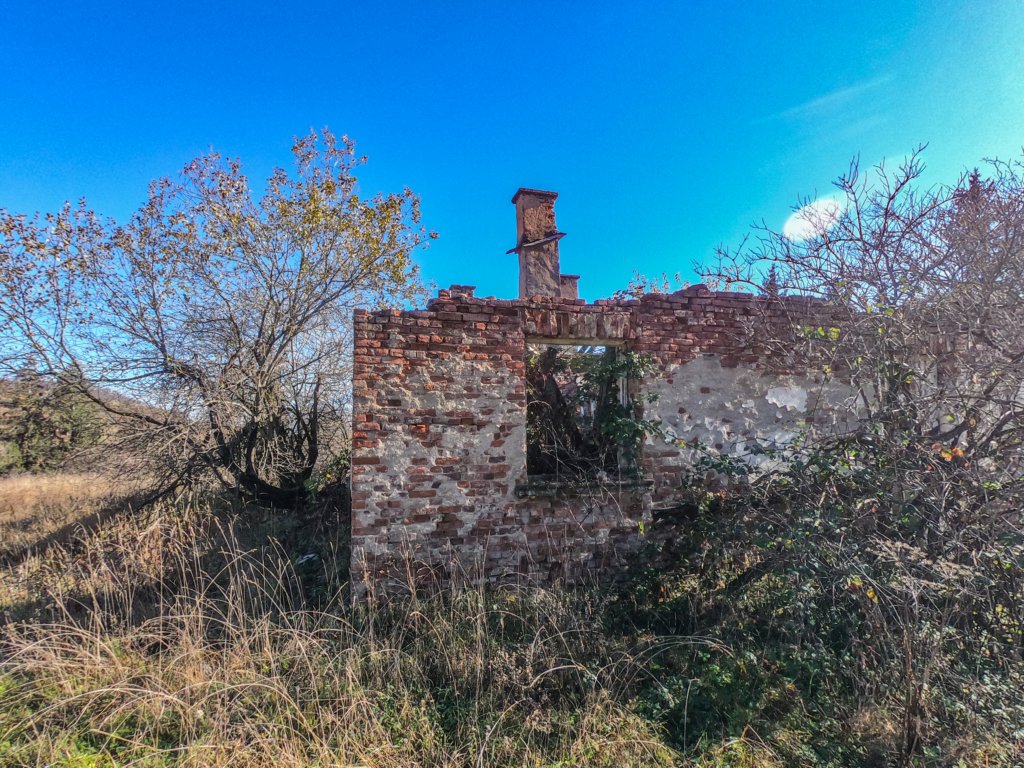 photo14.jpg