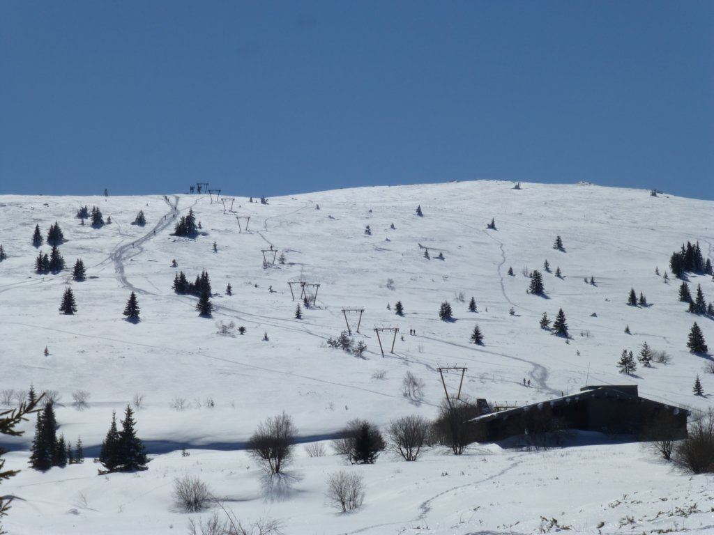 photo13.jpg