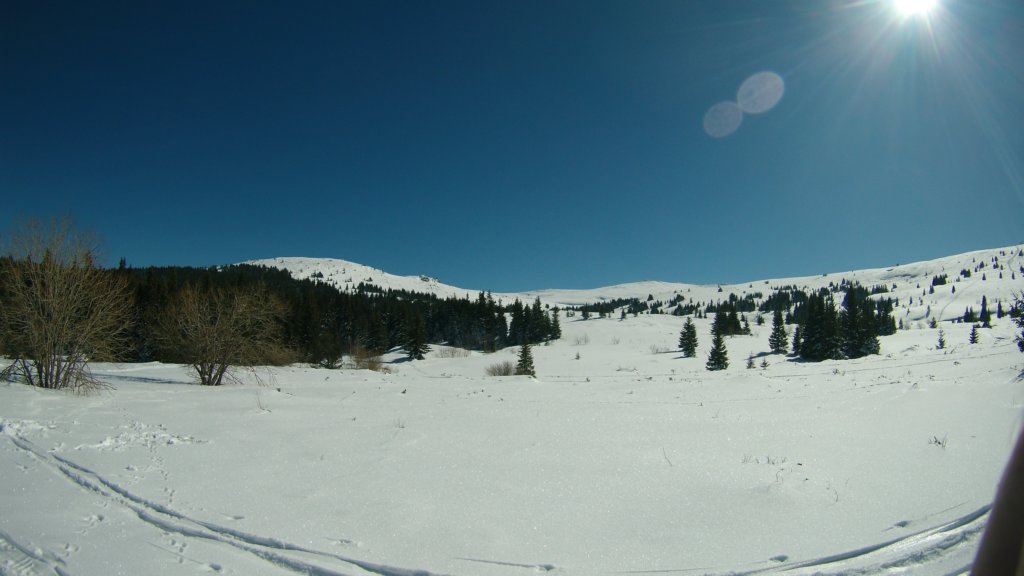 photo16.jpg