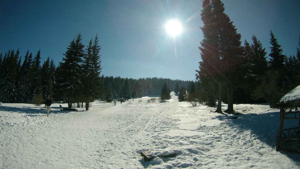 photo52.jpg
