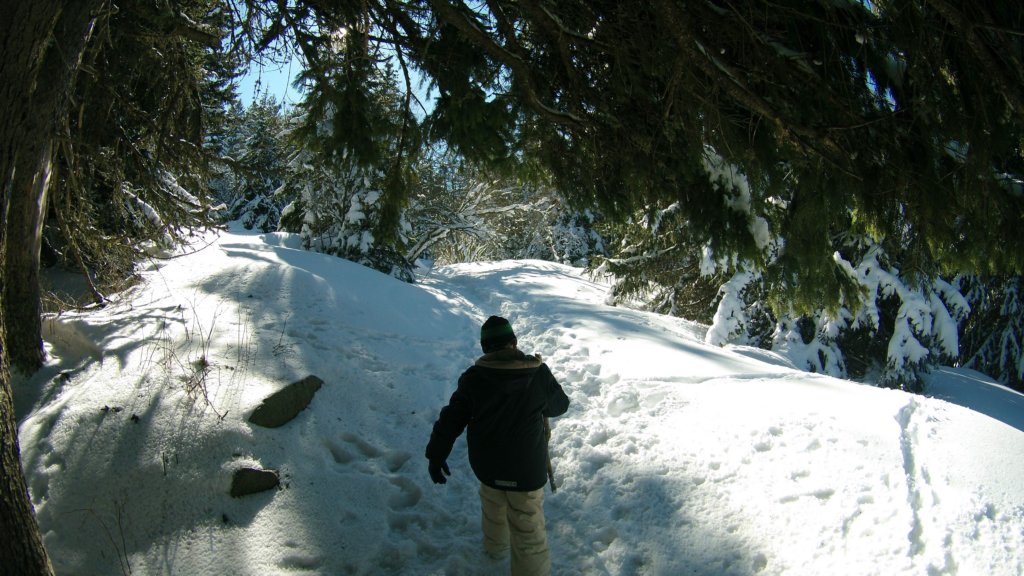 photo7.jpg