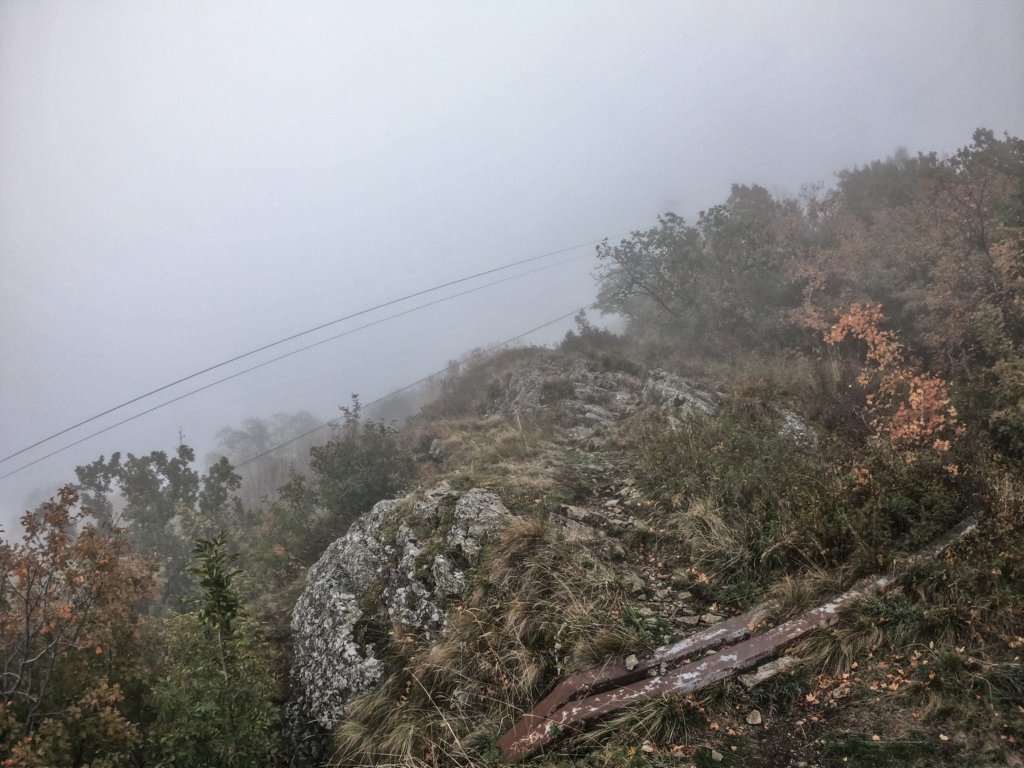 photo6.jpg