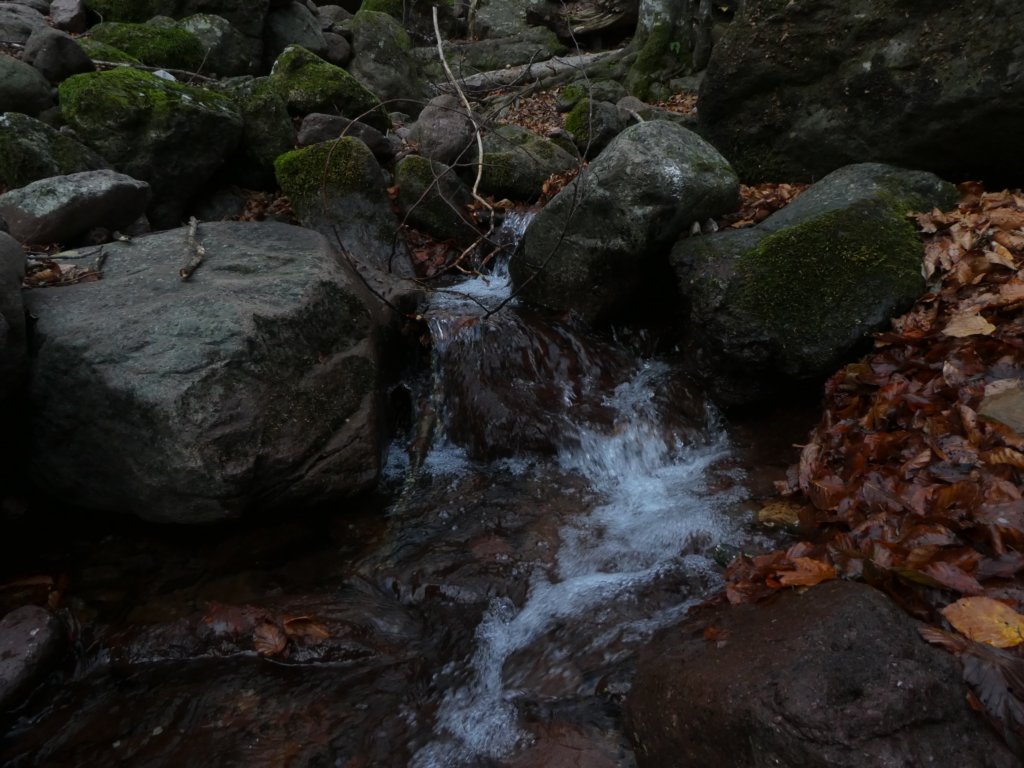 photo10.jpg