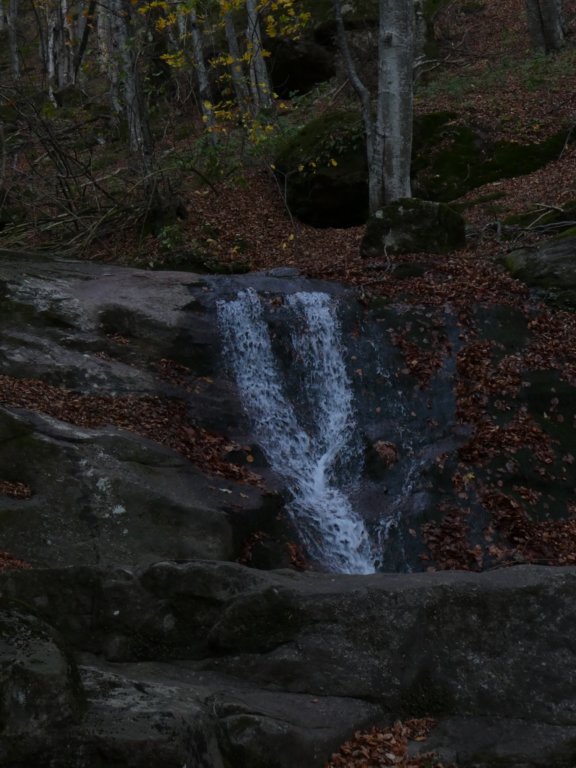 photo13.jpg
