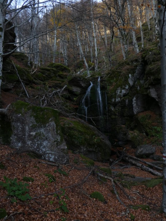 photo16.jpg
