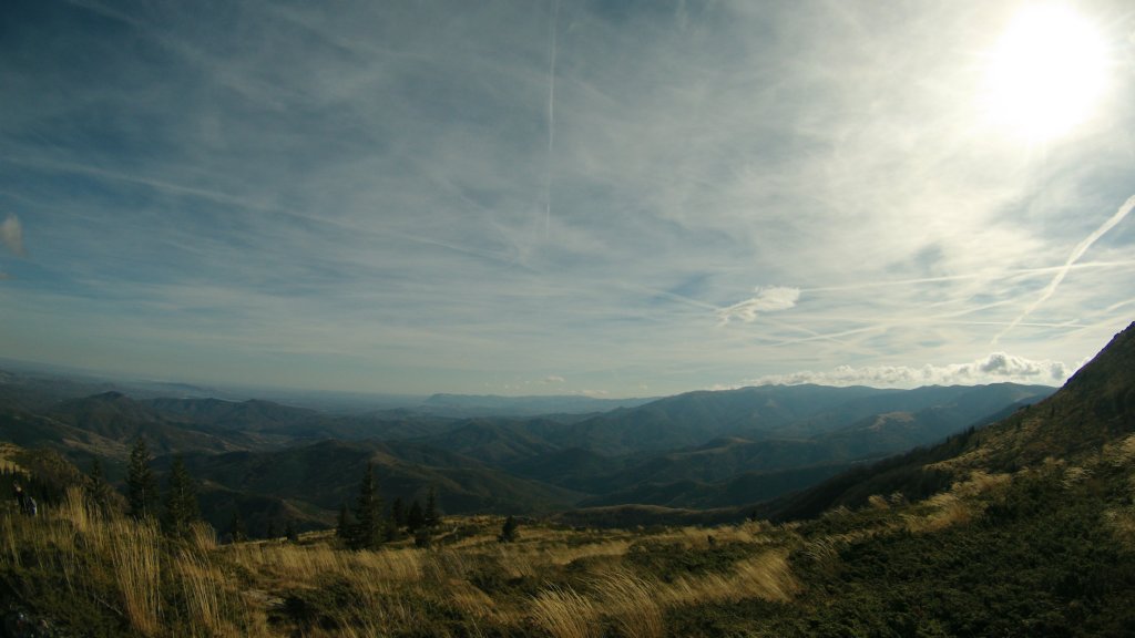 photo22.jpg