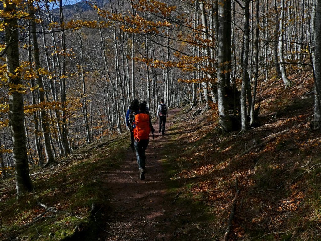 photo7.jpg