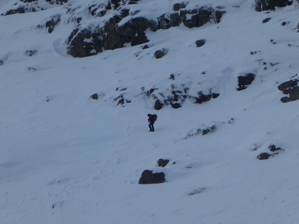 photo66.jpg