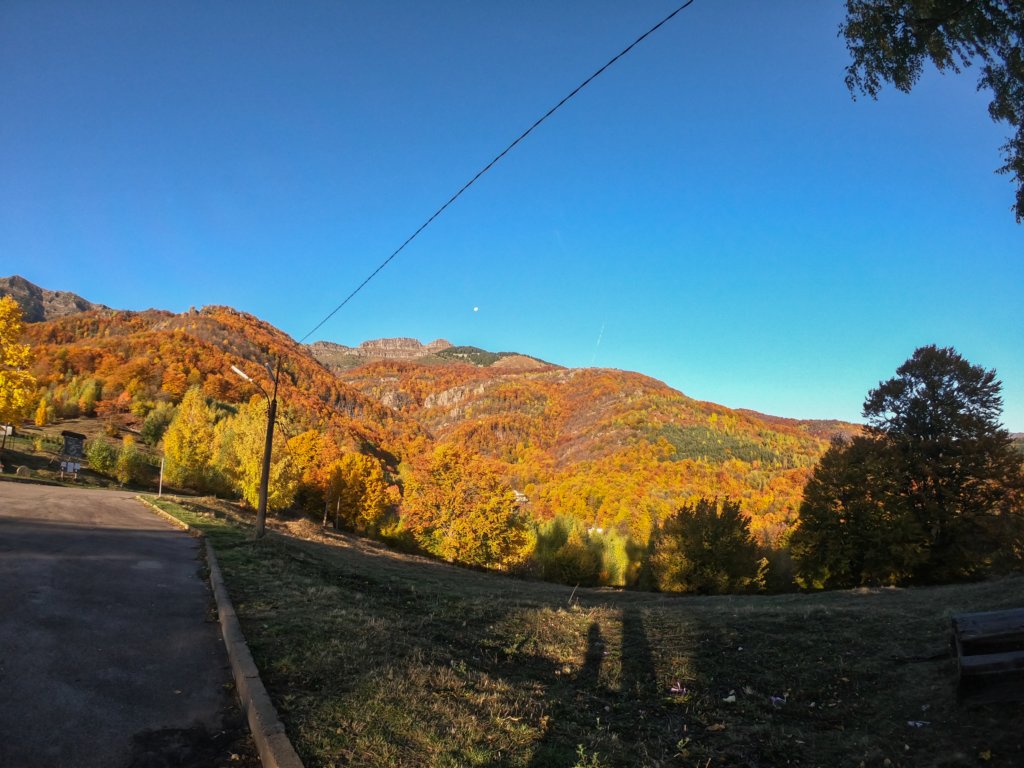 photo2.jpg