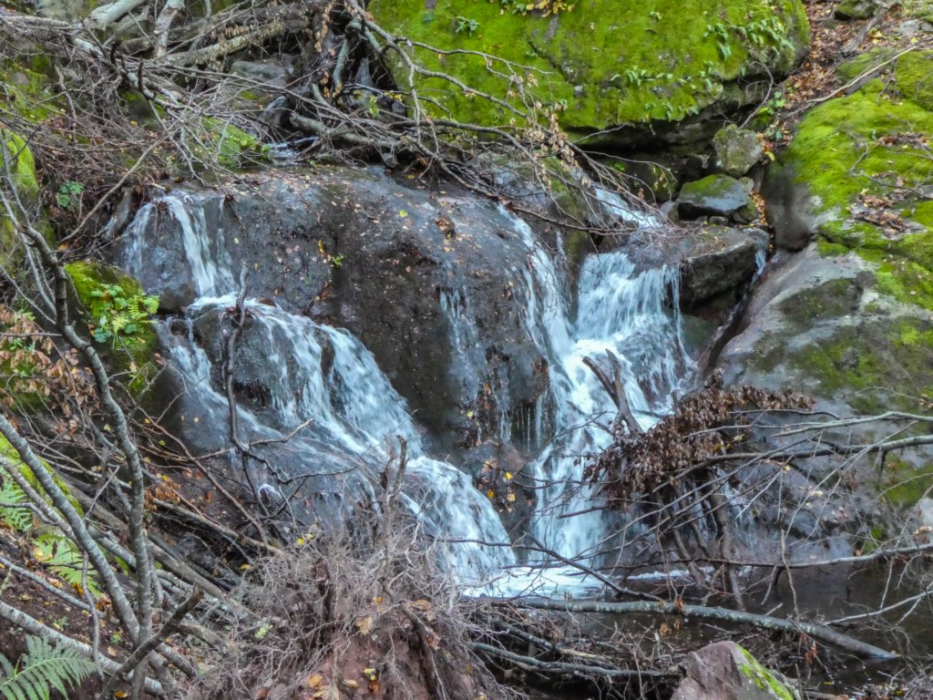photo23.jpg