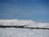 photo34_small.jpg