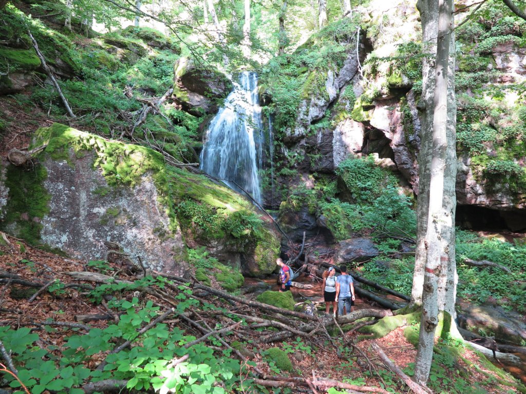 photo25.jpg