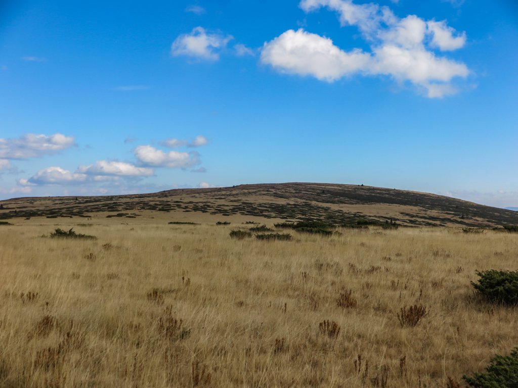 photo16.jpg